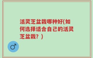 活灵芝盆栽哪种好(如何选择适合自己的活灵芝盆栽？)