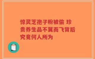 惊灵芝孢子粉被偷 珍贵养生品不翼而飞背后究竟何人所为