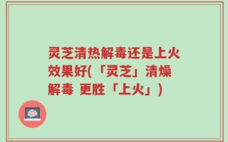 灵芝清热解毒还是上火效果好(「灵芝」清燥解毒 更胜「上火」)