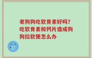 老狗狗吃软骨素好吗？吃软骨素和钙片造成狗狗拉软便怎么办