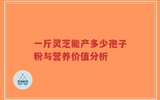 一斤灵芝能产多少孢子粉与营养价值分析