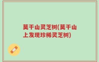 莫干山灵芝树(莫干山上发现珍稀灵芝树)