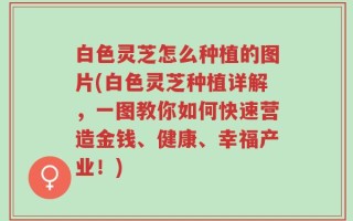 白色灵芝怎么种植的图片(白色灵芝种植详解，一图教你如何快速营造金钱、健康、幸福产业！)