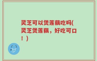 灵芝可以煲莲藕吃吗(灵芝煲莲藕，好吃可口！)