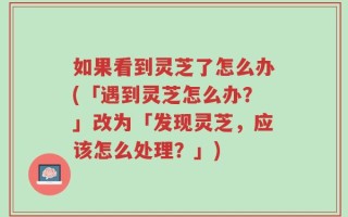 如果看到灵芝了怎么办(「遇到灵芝怎么办？」改为「发现灵芝，应该怎么处理？」)