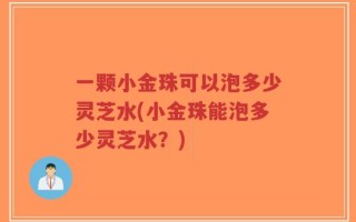 一颗小金珠可以泡多少灵芝水(小金珠能泡多少灵芝水？)