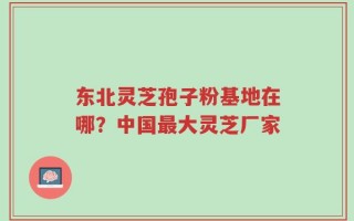 东北灵芝孢子粉基地在哪？中国最大灵芝厂家