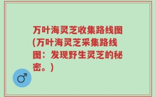 万叶海灵芝收集路线图(万叶海灵芝采集路线图：发现野生灵芝的秘密。)