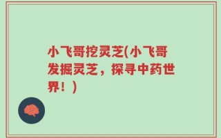 小飞哥挖灵芝(小飞哥发掘灵芝，探寻中药世界！)