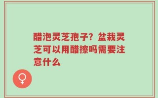 醋泡灵芝孢子？盆栽灵芝可以用醋擦吗需要注意什么