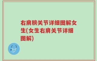 右肩膀关节详细图解女生(女生右肩关节详细图解)