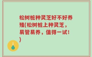 松树桩种灵芝好不好养殖(松树桩上种灵芝，易管易养，值得一试！)