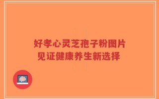 好孝心灵芝孢子粉图片 见证健康养生新选择