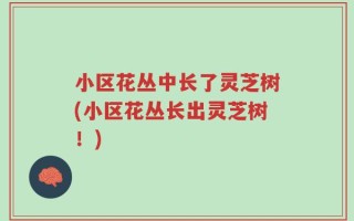 小区花丛中长了灵芝树(小区花丛长出灵芝树！)