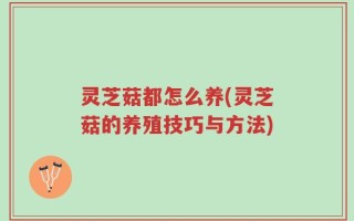 灵芝菇都怎么养(灵芝菇的养殖技巧与方法)