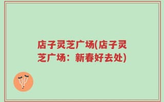 店子灵芝广场(店子灵芝广场：新春好去处)