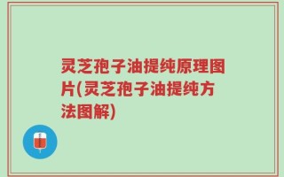 灵芝孢子油提纯原理图片(灵芝孢子油提纯方法图解)