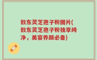 敖东灵芝孢子粉图片(敖东灵芝孢子粉独享纯净，美容养颜必备)