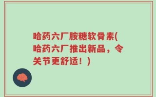 哈药六厂胺糖软骨素(哈药六厂推出新品，令关节更舒适！)