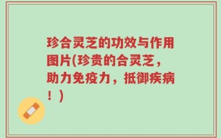 珍合灵芝的功效与作用图片(珍贵的合灵芝，助力免疫力，抵御疾病！)