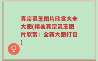 真宗灵芝图片欣赏大全大图(精美真宗灵芝图片欣赏：全新大图打包)