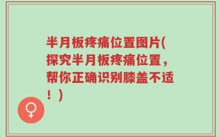 半月板疼痛位置图片(探究半月板疼痛位置，帮你正确识别膝盖不适！)