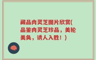 藏品肉灵芝图片欣赏(品鉴肉灵芝珍品，美轮美奂，诱人入胜！)