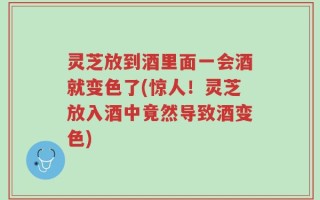 灵芝放到酒里面一会酒就变色了(惊人！灵芝放入酒中竟然导致酒变色)