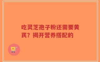 吃灵芝孢子粉还需要黄芪？揭开营养搭配的