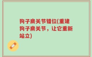 狗子肩关节错位(重建狗子肩关节，让它重新站立)