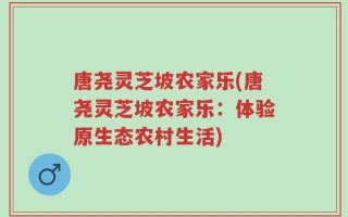 唐尧灵芝坡农家乐(唐尧灵芝坡农家乐：体验原生态农村生活)