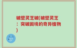 破壁灵芝破(破壁灵芝：突破困境的奇异植物)