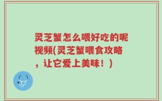 灵芝蟹怎么喂好吃的呢视频(灵芝蟹喂食攻略，让它爱上美味！)