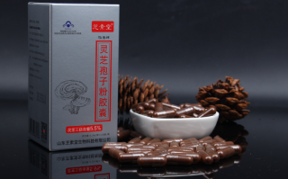 灵芝孢子粉价位为什么差距很大？什么样的灵芝孢子粉效果？