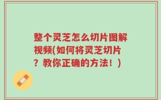 整个灵芝怎么切片图解视频(如何将灵芝切片？教你正确的方法！)