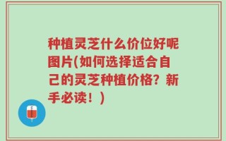 种植灵芝什么价位好呢图片(如何选择适合自己的灵芝种植价格？新手必读！)