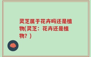 灵芝属于花卉吗还是植物(灵芝：花卉还是植物？)