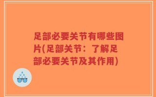 足部必要关节有哪些图片(足部关节：了解足部必要关节及其作用)