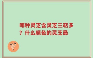 哪种灵芝含灵芝三萜多？什么颜色的灵芝最
