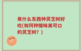 用什么东西种灵芝树好吃(如何种植味美可口的灵芝树？)