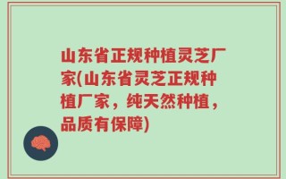 山东省正规种植灵芝厂家(山东省灵芝正规种植厂家，纯天然种植，品质有保障)