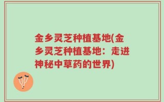 金乡灵芝种植基地(金乡灵芝种植基地：走进神秘中草药的世界)