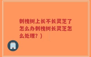 刺槐树上长不长灵芝了怎么办刺槐树长灵芝怎么处理？)