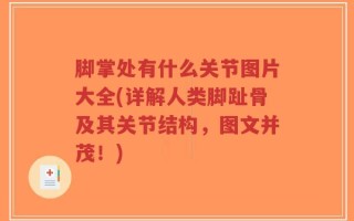 脚掌处有什么关节图片大全(详解人类脚趾骨及其关节结构，图文并茂！)