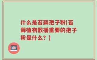 什么是苔藓孢子粉(苔藓植物散播重要的孢子粉是什么？)