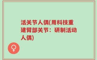 活关节人偶(用科技重建臂部关节：研制活动人偶)
