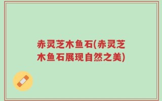 赤灵芝木鱼石(赤灵芝木鱼石展现自然之美)