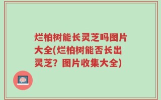 烂柏树能长灵芝吗图片大全(烂柏树能否长出灵芝？图片收集大全)