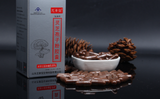 灵芝孢子粉对人体的好处都有哪些？