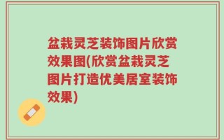 盆栽灵芝装饰图片欣赏效果图(欣赏盆栽灵芝图片打造优美居室装饰效果)